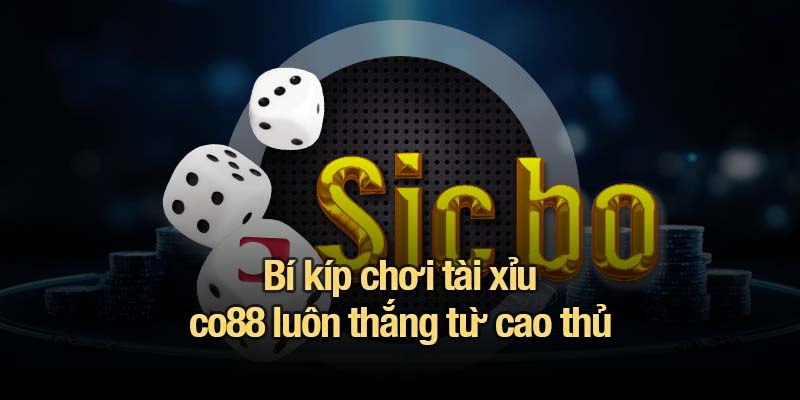 Tài xỉu co88 - Lối chơi đơn giản, phần thưởng bùng nổ Bí kíp chơi tài xỉu co88 luôn thắng từ cao thủ